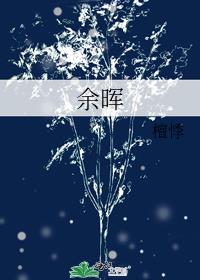余晖像什么